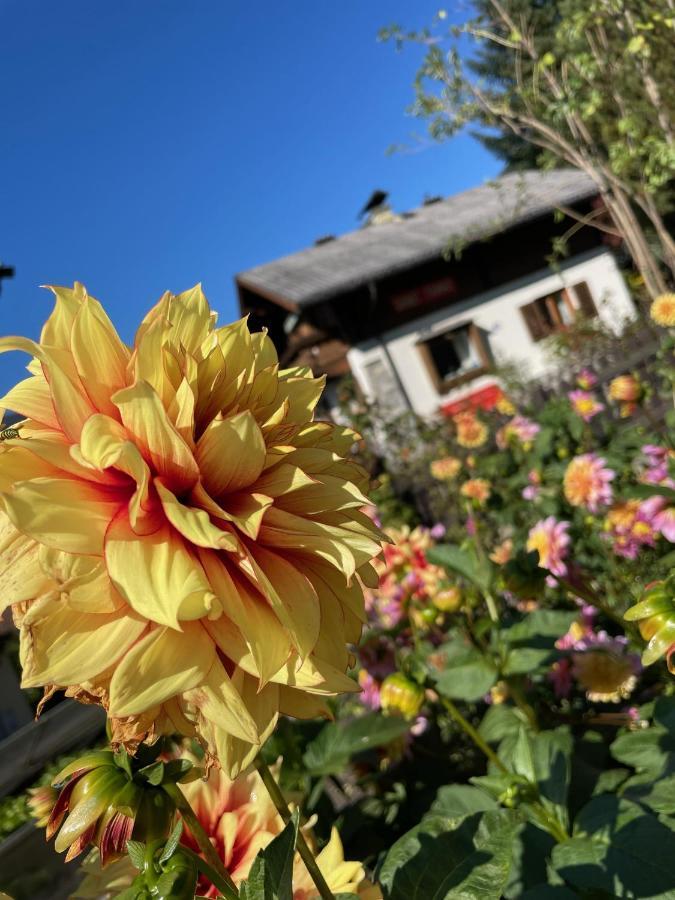 Chalet Franzi - Das Family-Ferienhaus Mit Gratiseintritt Ins Solarbad Dorfgastein Kültér fotó