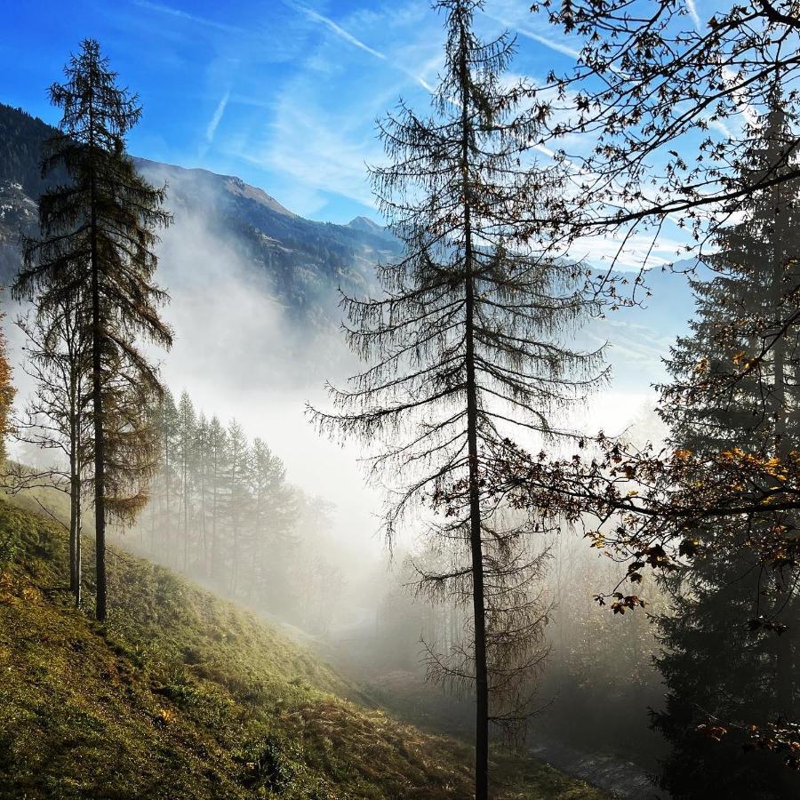 Chalet Franzi - Das Family-Ferienhaus Mit Gratiseintritt Ins Solarbad Dorfgastein Kültér fotó