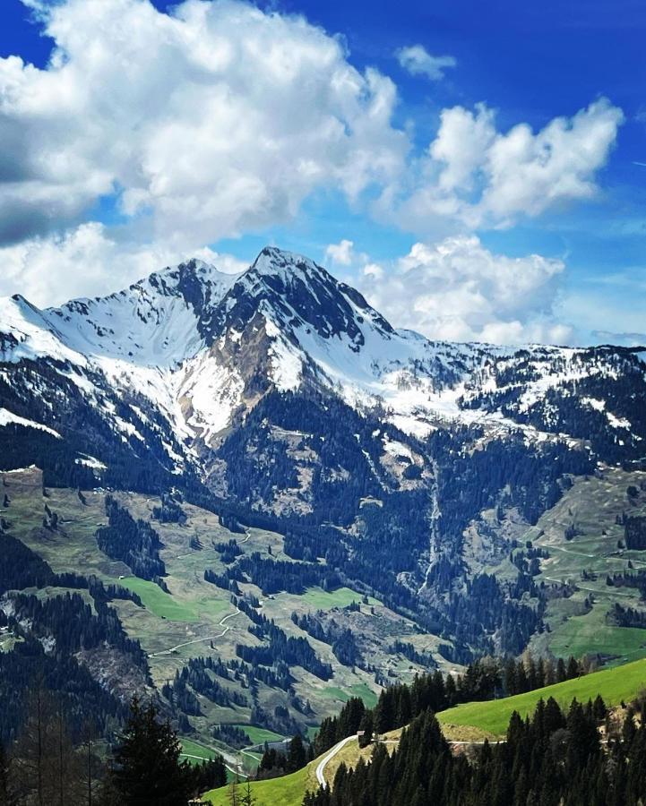 Chalet Franzi - Das Family-Ferienhaus Mit Gratiseintritt Ins Solarbad Dorfgastein Kültér fotó