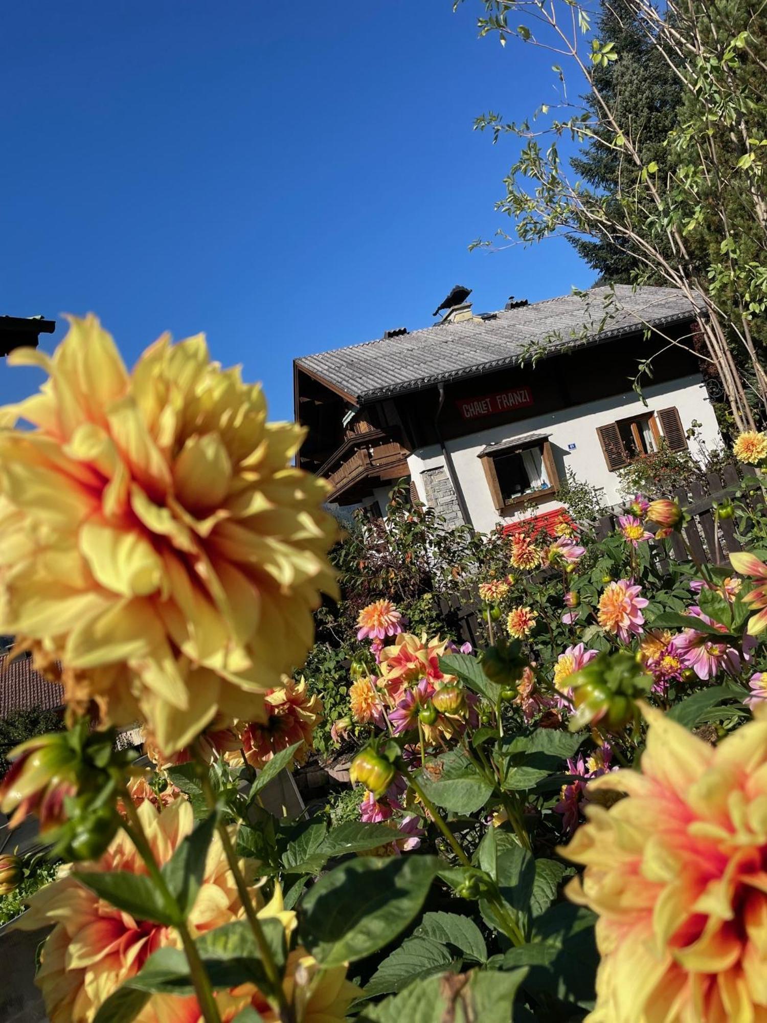 Chalet Franzi - Das Family-Ferienhaus Mit Gratiseintritt Ins Solarbad Dorfgastein Kültér fotó